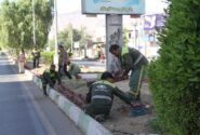 عملکرد واحد فضای سبز شهرداری لار در اردیبهشت ماه ۱۴۰۱
