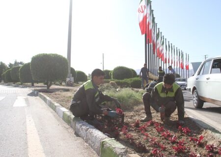 عملیات کاشت دو هزار صندوق گل فصلی تابستانه در بلوار ها، میادین و بوستان های شهر لار آغاز شد