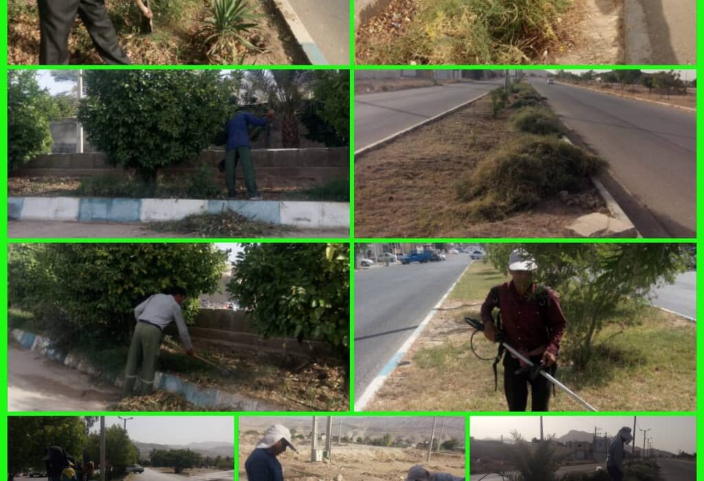 تلاش برای توسعه و نگهداری فضای سبز توسط سبزبانان خدوم شهرداری قیر