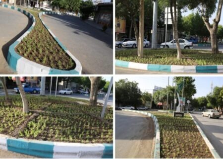 ?ادامه اجرای طرح کاشت تابستانه گلهای فصلی به همت پارکبانان زحمتکش شهرداری اقلید