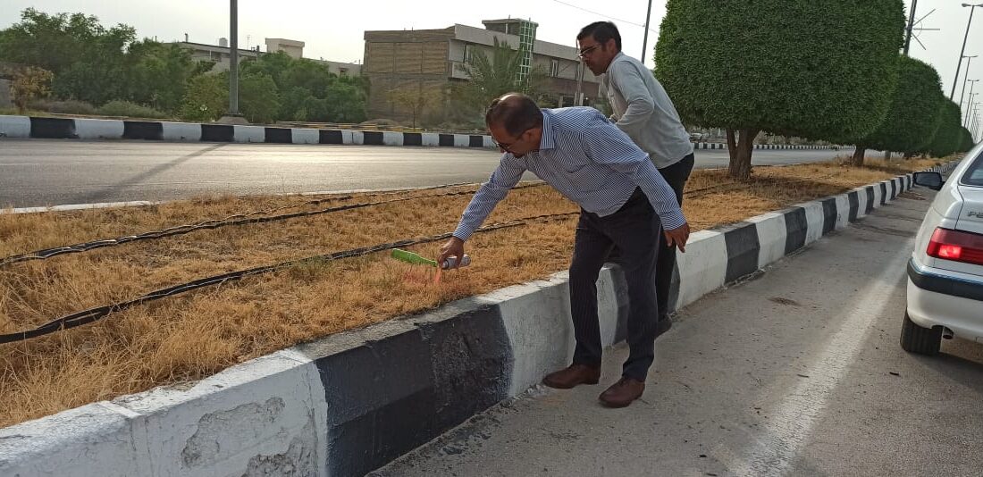 بازدید میدانی شهردار مهر از پروژه های سطح شهر