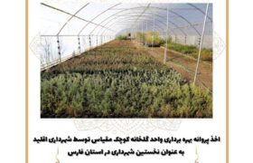 اخذ پروانه بهره برداری واحد گلخانه کوچک مقیاس توسط شهرداری اقلید به عنوان نخستین شهرداری در استان فارس