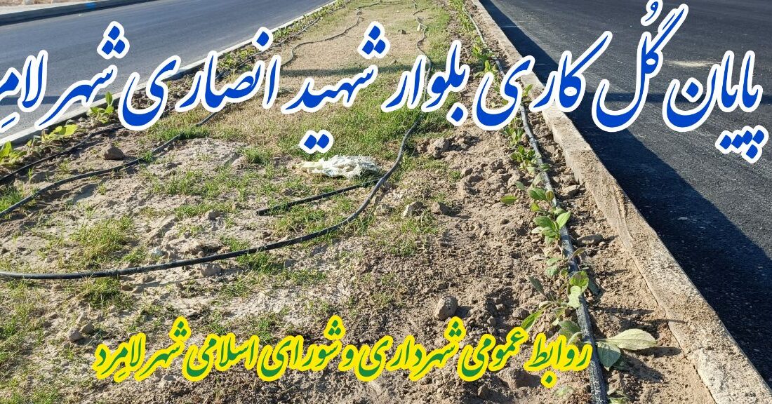 پایان گُل کاری و زیباسازی بلوار شهید انصاری شهر لامِرد