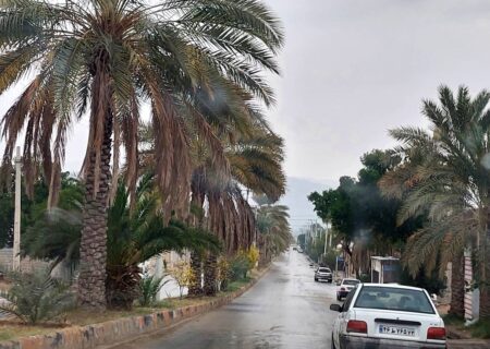 گزارش تصویری/ بارش باران در کارزین
