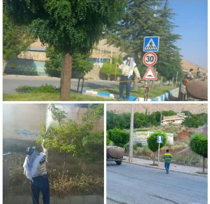 عملیات سمپاشی درختان بوستان ها و تفرجگاه چله گاه شهر اردکان