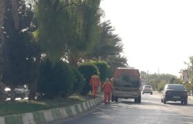 گزارش تصویری/فعالیت واحد خدماتی و فضای سبز شهرداری جویم/مهرماه ۱۴۰۲