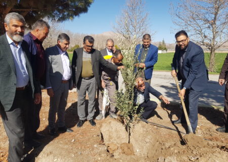 کاشت نهال  و گلکاری توسط شهرداری در روز طبیعت و روز درختکاری