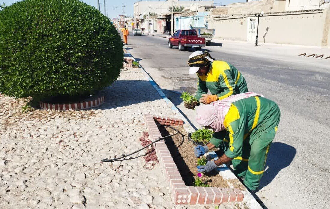 آغاز کاشت گل های فصلی در سطح شهر لطیفی