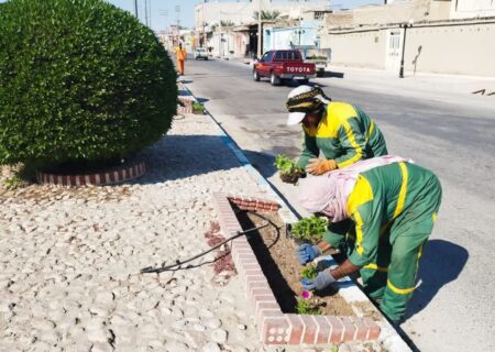 آغاز کاشت گل های فصلی در سطح شهر لطیفی