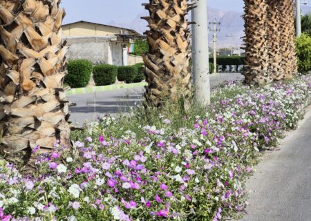 شهرداری جویم/گلکاری های زیبای سطح شهر/اردیبهشت ۱۴۰۴