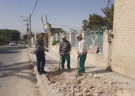 * ادامه کاشت انواع درخت مختلف و متنوع در پیاده راه بلوارها و میادین و معابر سطح شهر قیر