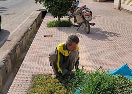 شهرداری جویم/فعالیت واحد خدماتی و فضای سبز/نیمه اول تیرماه ۱۴۰۴