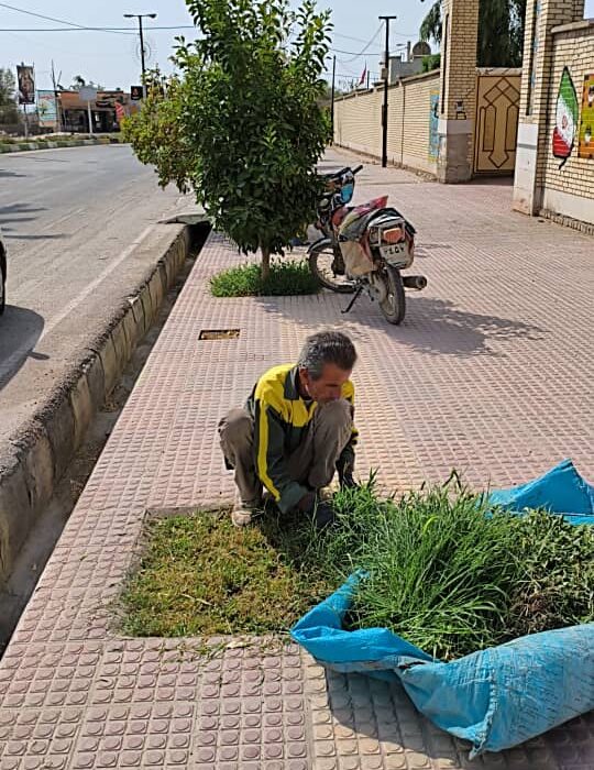 شهرداری جویم/فعالیت واحد خدماتی و فضای سبز/نیمه اول تیرماه ۱۴۰۴