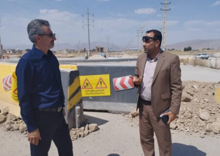 مدیرکل امور شهری و شوراهای استانداری فارس اعلام کرد: بودجه فرهنگی یکی از ابزارهای مؤثر در توسعه اجتماعی شهرها است