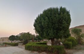 با دستور شهردار لار بهسازی و تکمیل بوستان مادر آغاز شد