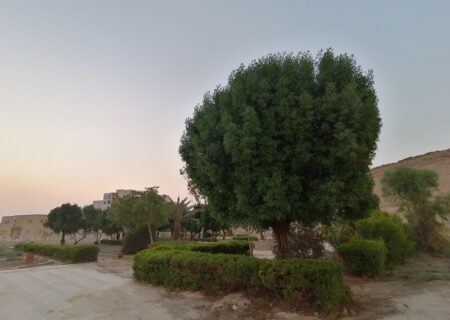 با دستور شهردار لار بهسازی و تکمیل بوستان مادر آغاز شد