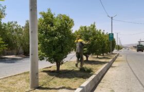 شهرداری جویم/فعالیت واحد خدماتی و فضای سبز/نیمه دوم مردادماه ۱۴۰۴
