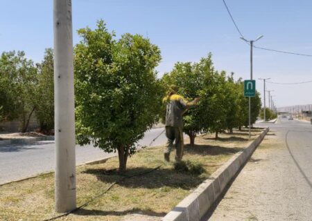شهرداری جویم/فعالیت واحد خدماتی و فضای سبز/نیمه دوم مردادماه ۱۴۰۴