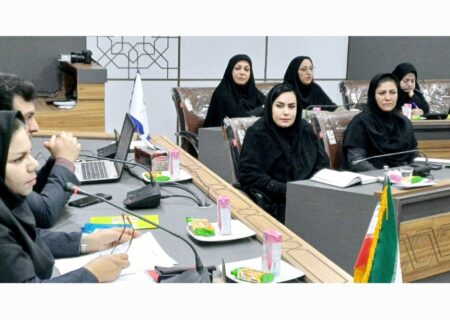 حضور مسئول امور بانوان شهرداری لطیفی درگردهمایی رابطین امور زنان و خانواده دستگاه‌های اجرایی لارستان