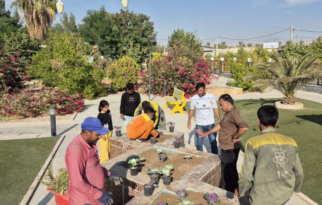 شهرداری جویم/عملیات کاشت گلهای فصلی/آبان ماه ۱۴۰۴