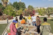 شهرداری جویم/عملیات کاشت گلهای فصلی/آبان ماه ۱۴۰۴