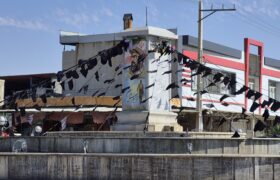 شهرداری جویم/فضاسازی شهادت حضرت زهرا(س)/ آذرماه ۱۴۰۴