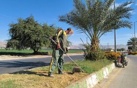 شهرداری جویم/فعالیت واحد خدماتی و فضای سبز/نیمه دوم آبان ماه ۱۴۰۴