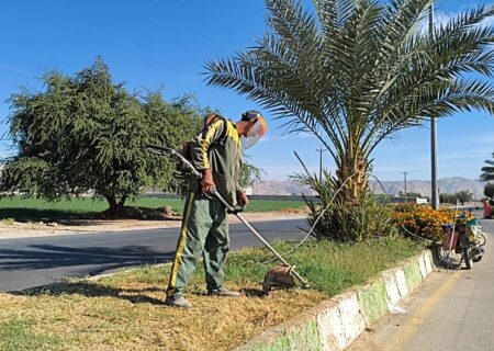 شهرداری جویم/فعالیت واحد خدماتی و فضای سبز/نیمه دوم آبان ماه ۱۴۰۴