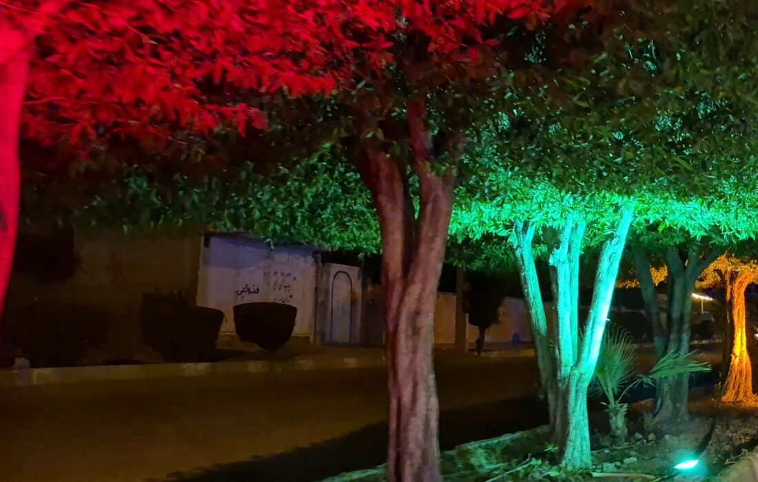شهرداری جویم/نورپردازی های زیبا/بلوار شهید فهمیده/آبان ماه ۱۴۰۴