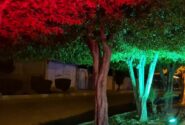 شهرداری جویم/نورپردازی های زیبا/بلوار شهید فهمیده/آبان ماه ۱۴۰۴