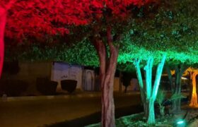 شهرداری جویم/نورپردازی های زیبا/بلوار شهید فهمیده/آبان ماه ۱۴۰۴