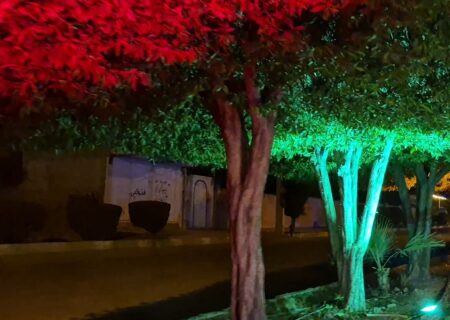 شهرداری جویم/نورپردازی های زیبا/بلوار شهید فهمیده/آبان ماه ۱۴۰۴