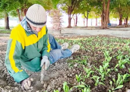 شهرداری جویم/فعالیت واحد خدماتی و فضای سبز/نیمه اول آذرماه ۱۴۰۴