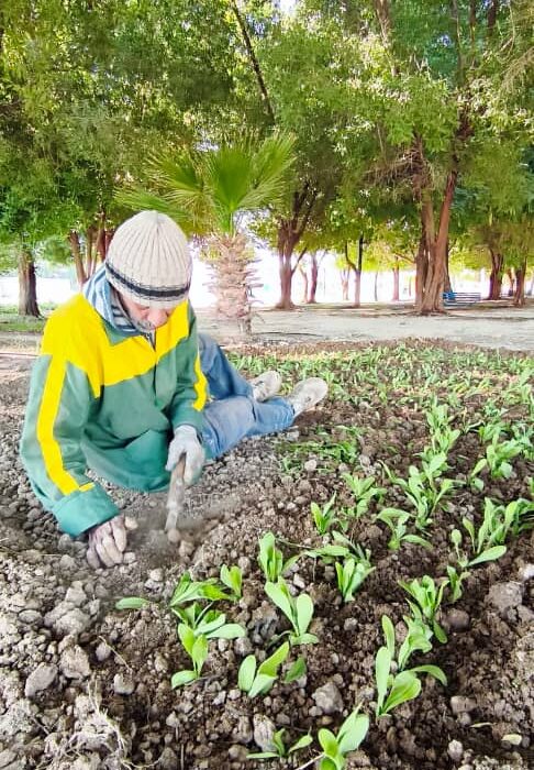 شهرداری جویم/فعالیت واحد خدماتی و فضای سبز/نیمه اول آذرماه ۱۴۰۴