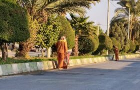 شهرداری جویم/فعالیت واحد خدماتی و فضای سبز/نیمه دوم آذرماه ۱۴۰۴