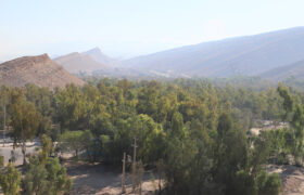 جهش از ۱۱/۷۸ به ۲۳/۰۲ متر مربع برای هر نفر