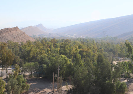 جهش از ۱۱/۷۸ به ۲۳/۰۲ متر مربع برای هر نفر