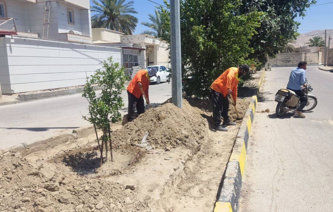 هرس درختان/ احیای فضای سبز شهری/ علف زدایی پارک ها