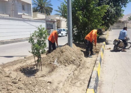 هرس درختان/ احیای فضای سبز شهری/ علف زدایی پارک ها